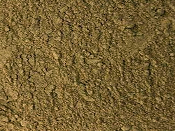 生物除臭濾池除臭效果影響（xiǎng）因素主要看生物（wù）菌種