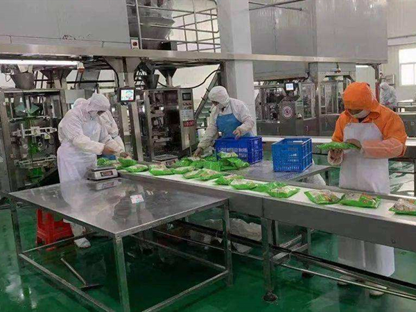 食品廠（chǎng）異味處理（lǐ）方法
